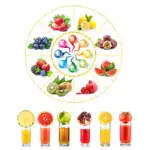 Manual Juicer - Image 5